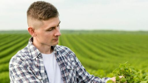 Ile trzeba mieć ziemi, żeby być rolnikiem? Zobacz wymaganą powierzchnię, aby uzyskać status rolnika