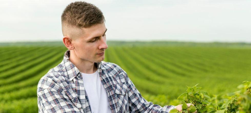 Ile trzeba mieć ziemi, żeby być rolnikiem? Zobacz wymaganą powierzchnię, aby uzyskać status rolnika