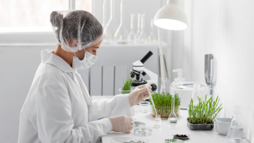 Biotechnologia molekularna – co to