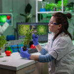 inżynieria genetyczna - jak wyglądają studia