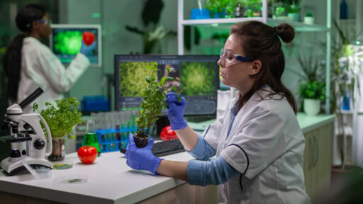 inżynieria genetyczna - jak wyglądają studia