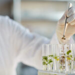 inżynieria genetyczna praca