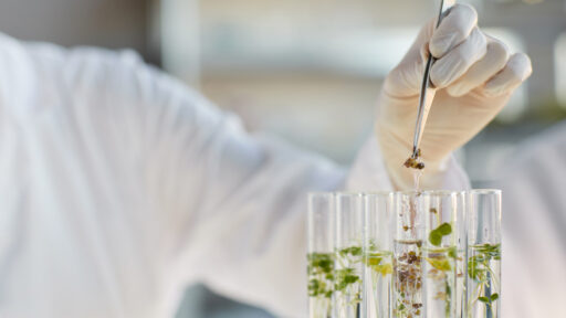 inżynieria genetyczna praca